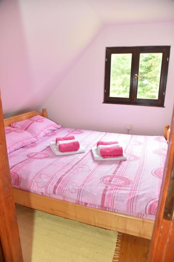 Villa Vikendica na Sokolini Gornja Koprivna Esterno foto